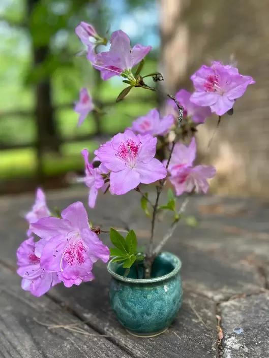 Ikebana Bowl Vase in Sea Glass